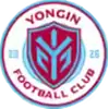 龙仁FC
